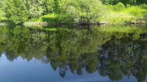 Природа. Релакс. Музыка от ИИ.