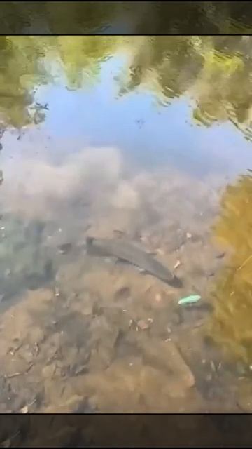 рыбалка смотреть онлайн