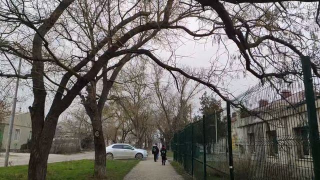 Один из дней города Евпатории | 12 января 2022 год | Крым ХАН БАТОН XAH 6ATOH | VID_20220112_151250