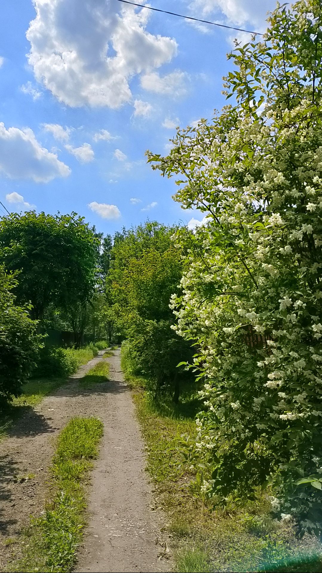 Природа.Скользкие тапки.С днём России.часть 2.Продолжение следует