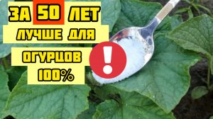 1 ложка в Июле и огурцы, томаты, перцы обильно заплоданосят