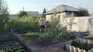 Жизнь в деревне.🏡 Полила огород.Посадила рассаду цветов.💐