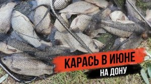 СМЕНИЛИ РЕКУ И НАЛОВИЛИ КАРАСЕЙ. ЛОВИМ КАРАСЯ НА ДОНУ