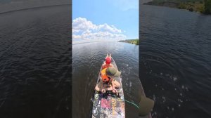Катания на сапе