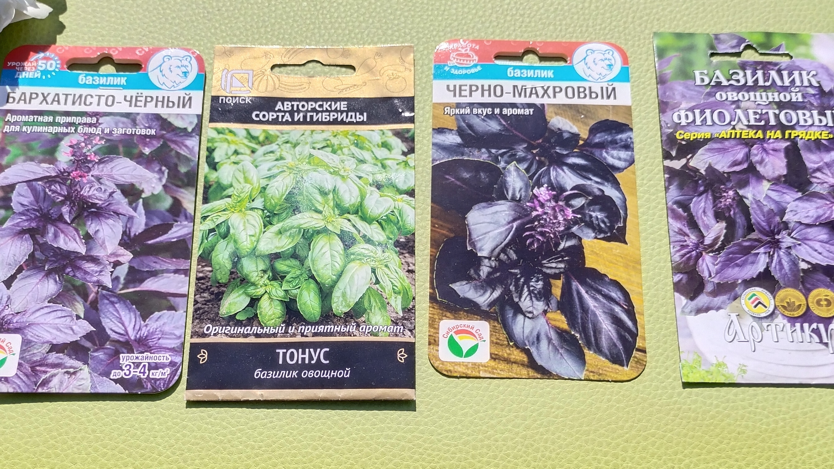 Базилик мужская трава