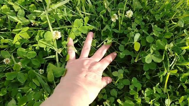 Как поступить,не знаю..Селяночка Танюша// смотреть онлайн