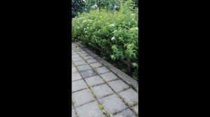 Из вечера в утро...