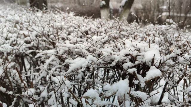 Один из дней города Евпатории | 18 января 2022 год | Крым ХАН БАТОН XAH 6ATOH | VID_20220118_134546
