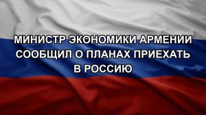 Министр экономики Армении сообщил о планах приехать в Россию