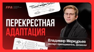 Перекрестная адаптация | Владимир Меркурьев | Бесплатный курс «Персональный тренер»