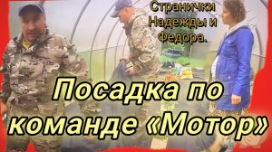 12-06-2026«Как вырастить не урожай, а контент: хроники Надежды и Фёдора» 📜🌿