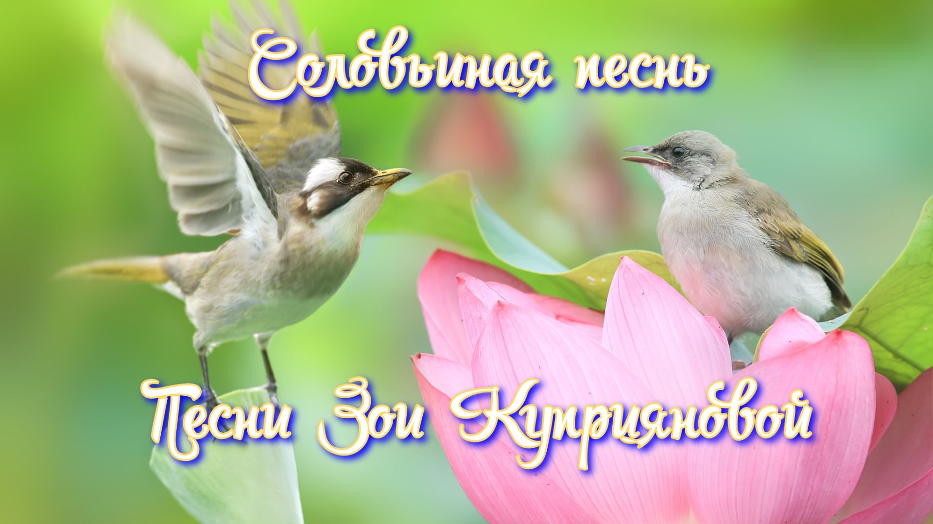 Соловьиная песнь