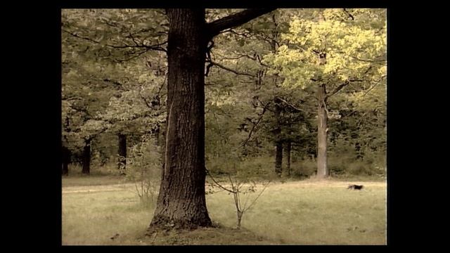 "Королева Марго" (1996) // 5 серия