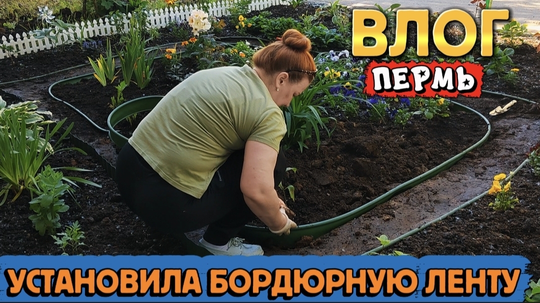 ВЛОГ"Установила бордюрную ленту,покупки WILDBERRIS,поездка в питомник 🌱" 💞🤗 смотреть онлайн