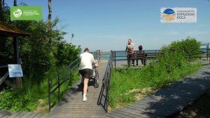 Путешествия без границ