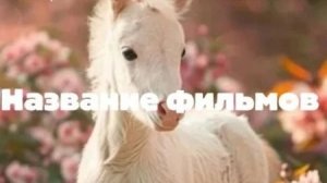 Фильмы про лошадей