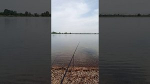 Калининский карьер 🎣 Пятница 😇