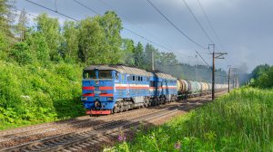 Свистящий «Фантомас». 2ТЭ116-955 «БТС» в ещё синем окрасе с наливным поездом по БМО