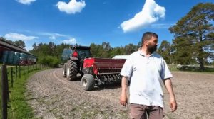 СПАС КОРОВУ ОТ ЗАБОЯ Телёнок на новом поле а овёс всё-таки посеял Герефорды