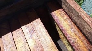 А как бы вы поступили в данном случае тихой смены или роения?