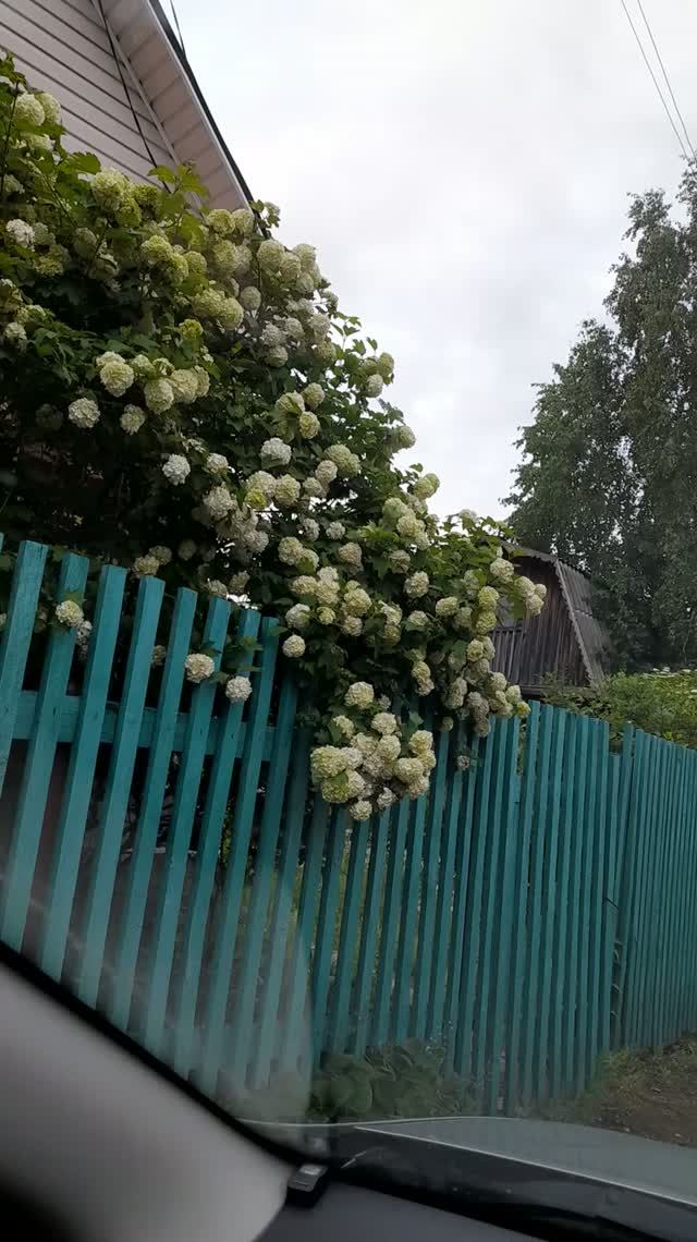 20260611_204000  В отпуск! На дачу!