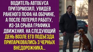 Водитель автобуса притормозил, увидев раненого пса на обочине, а после потерял работу, из-за срыва