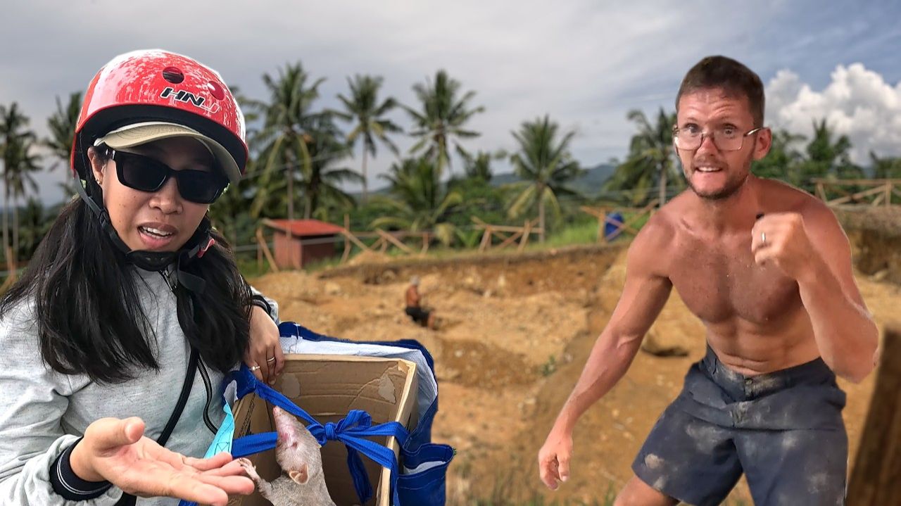 Building our dream house begins ! Our newest member of the family Province life in the Philippines смотреть онлайн