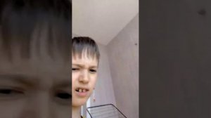 обзор на дом