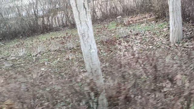 Один из дней города Евпатории | 14 января 2022 год | Крым ХАН БАТОН XAH 6ATOH | VID_20220114_144054