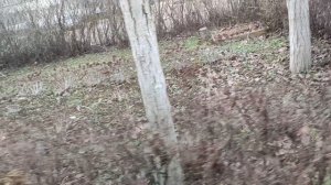 Один из дней города Евпатории | 14 января 2022 год | Крым ХАН БАТОН XAH 6ATOH | VID_20220114_144054