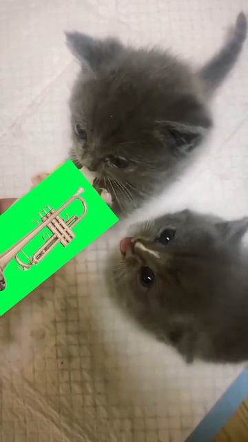 71 смотреть онлайн