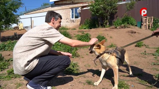 Доброе сердце 11.06.2026 Джессика