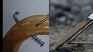 Даже и не знаю как мы выжили 😅
