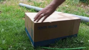 Цыплята уехали, а яйца приехали) Распаковка яиц по доставке 5Post, из Таганрога. Снова инкубация.