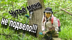 Тут монеты на каждом шагу!!! Поиск старины с металлоискателем!