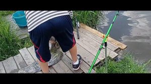 Трофейный Сом 12.06.2026г.