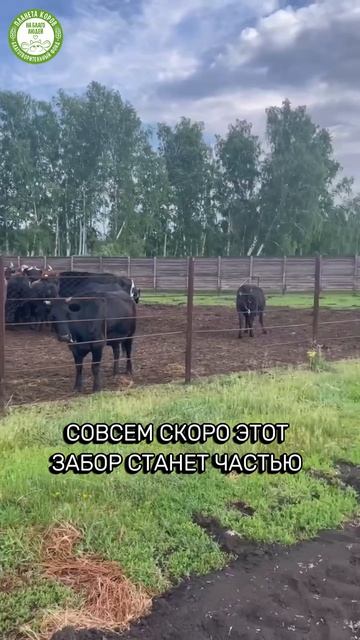 Разгрузка сетки для будущего загона на Планете коров, спасибо, друзья