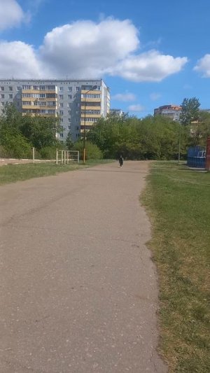 Сынок бежит стометровку