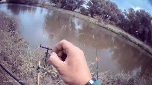 Сегодня немного порыбачил в свободное окошко времени на пикер🎣 Прикормка Стерля Лещ (Шоколад).