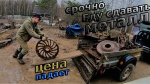 Цена на Металл падает_Срочно еду сдавать #копметаллавлесу  #металлокоп