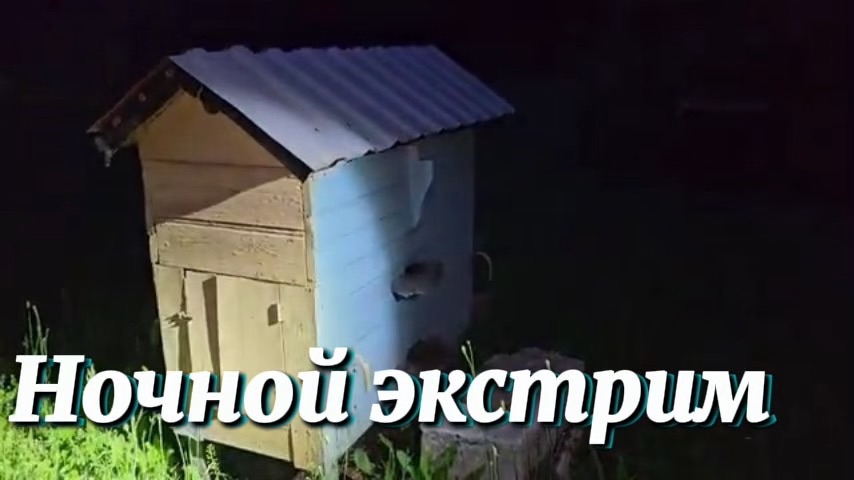 НОЧНЫЕ ПРИКЛЮЧЕНИЯ С ПЧЁЛАМИ ПОЙМАЛИ РОЙ И ЗАСТРЯЛИ В ПОЛЕ НОВАЯ ЖИЗНЬ И ПЛАНЫ НА СТАРУЮ БАНЮ