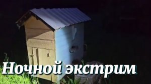 НОЧНЫЕ ПРИКЛЮЧЕНИЯ С ПЧЁЛАМИ ПОЙМАЛИ РОЙ И ЗАСТРЯЛИ В ПОЛЕ НОВАЯ ЖИЗНЬ И ПЛАНЫ НА СТАРУЮ БАНЮ