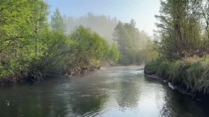 РЫБАЛКА НА ТАЁЖНОЙ РЕЧКЕ