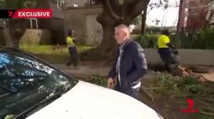 ❗️🤣«Конвои пророссийских рекламных грузовиков с изображением Владимира Путина сеют хаос в Сиднее,