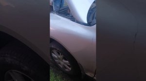 1000040989.mp4