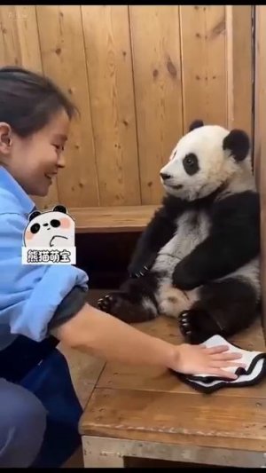 Создал же Бог такую восхитительную зверушку 😊❤
