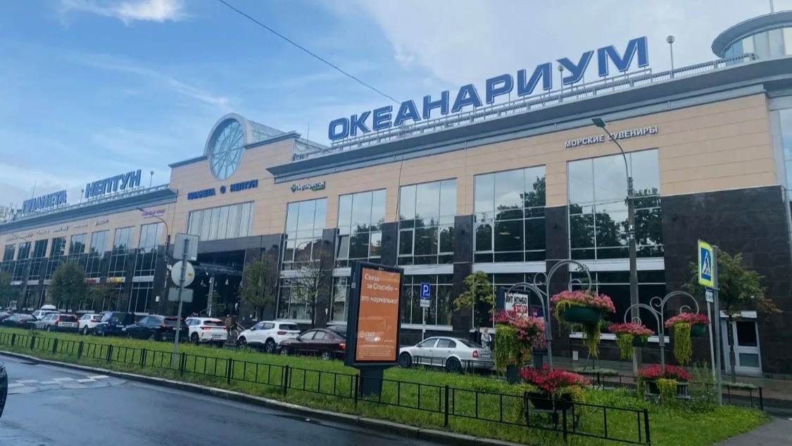 ОКЕАНАРИУМ В САНКТ-ПЕТЕРБУРГЕ 2026 🐊 смотреть онлайн