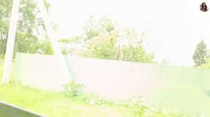 Приезд Степана и Татьяны в деревню