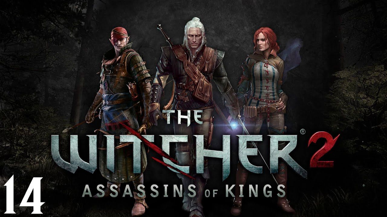 The Witcher 2 Assassins of Kings - Часть 14