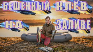 НАЧАЛО ЛЕТА НА КАЛИНИНГРАДСКОМ ЗАЛИВЕ